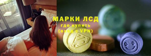 стафф Алзамай